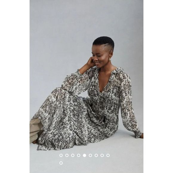 New Anthropologie The Marais Printed Chiffon Maxi Dress size Small - Picture 4 of 9